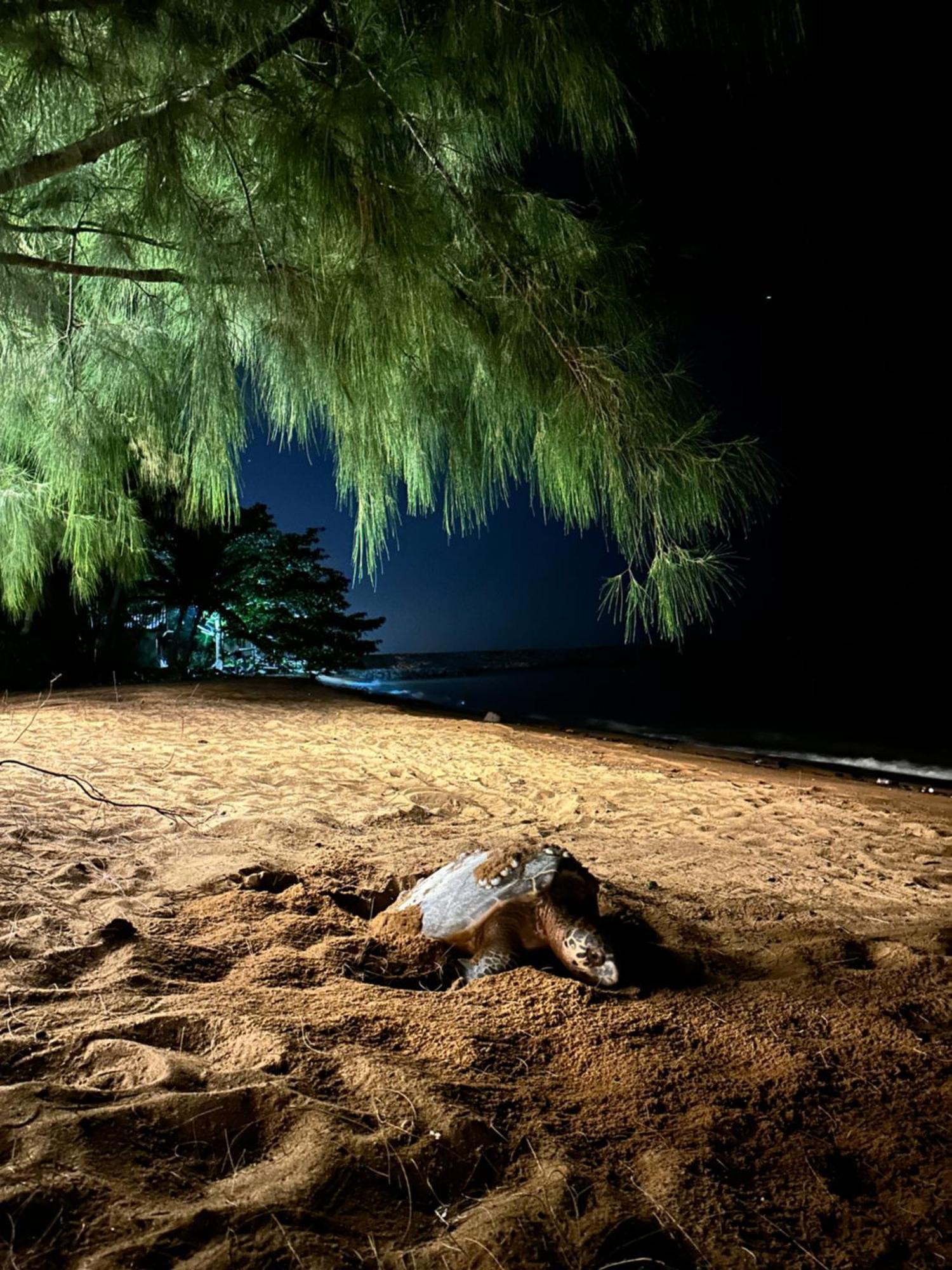 Beach N Breeze Glamping Malacca Exterior photo